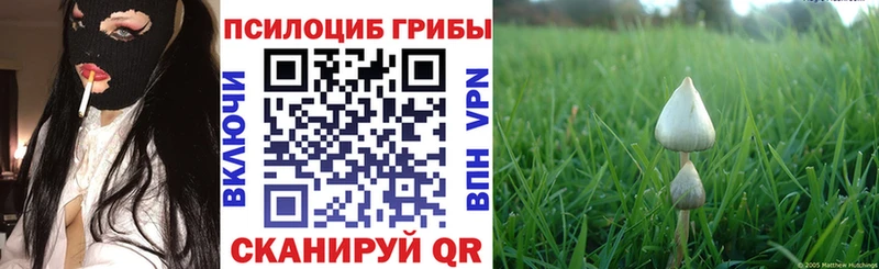 Псилоцибиновые грибы ЛСД  где купить   Кумертау 