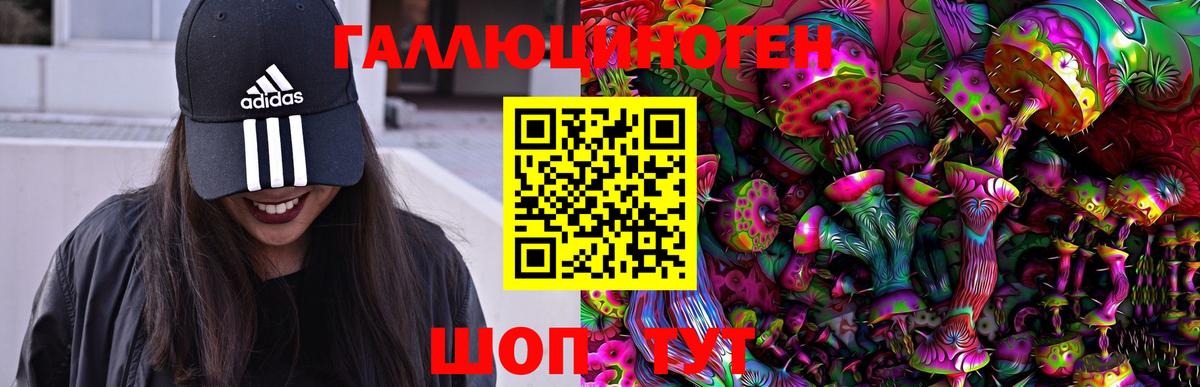 Галлюциногенные грибы GOLDEN TEACHER  Псилоцибиновые грибы Psilocybe  сколько стоит  Кумертау  Вход с VPN 